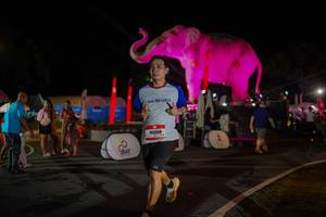 BIB: 
                            <button type="button" onclick="openModal(26552231)" class="btn btn-primary btn-sm float-right btn-popup" data-toggle="modal" data-target=".modal-high-quality">
                        <i class="fas fa-shopping-cart"></i> Add to Cart
                    </button>
                                            <button type="button" onclick="isThisMe(26552231, true)" class="btn btn-success btn-sm float-right btn-popup btn-isme hidden" data-toggle="tooltip" data-placement="bottom" title="นี่คือรูปของคุณใช่ไหม คลิกที่นี่เพื่อเอาเข้าอัลบั้ม">
                        <i class="fas fa-plus"></i> Add to album
                    </button>
                    <button type="button" onclick="isThisMe(26552231, false)" class="btn btn-warning btn-sm float-right btn-popup btn-isnotme hidden">
                        <i class="fas fa-ban"></i> Remove from album
                    </button>